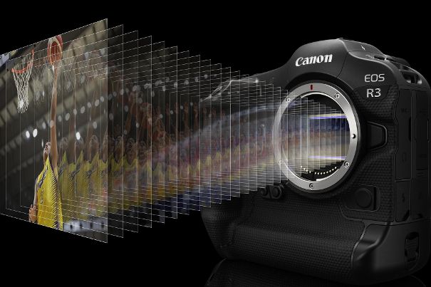 Blitzschnell: Bis zu 30 Bilder pro Sekunde im RAW-Format und mit voller AE- und AF-Nachführung können mit der Canon EOS R3 dank elektronischem Verschluss aufgenommen werden.