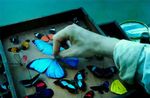 Die Vermessung der Welt - Expeditionen