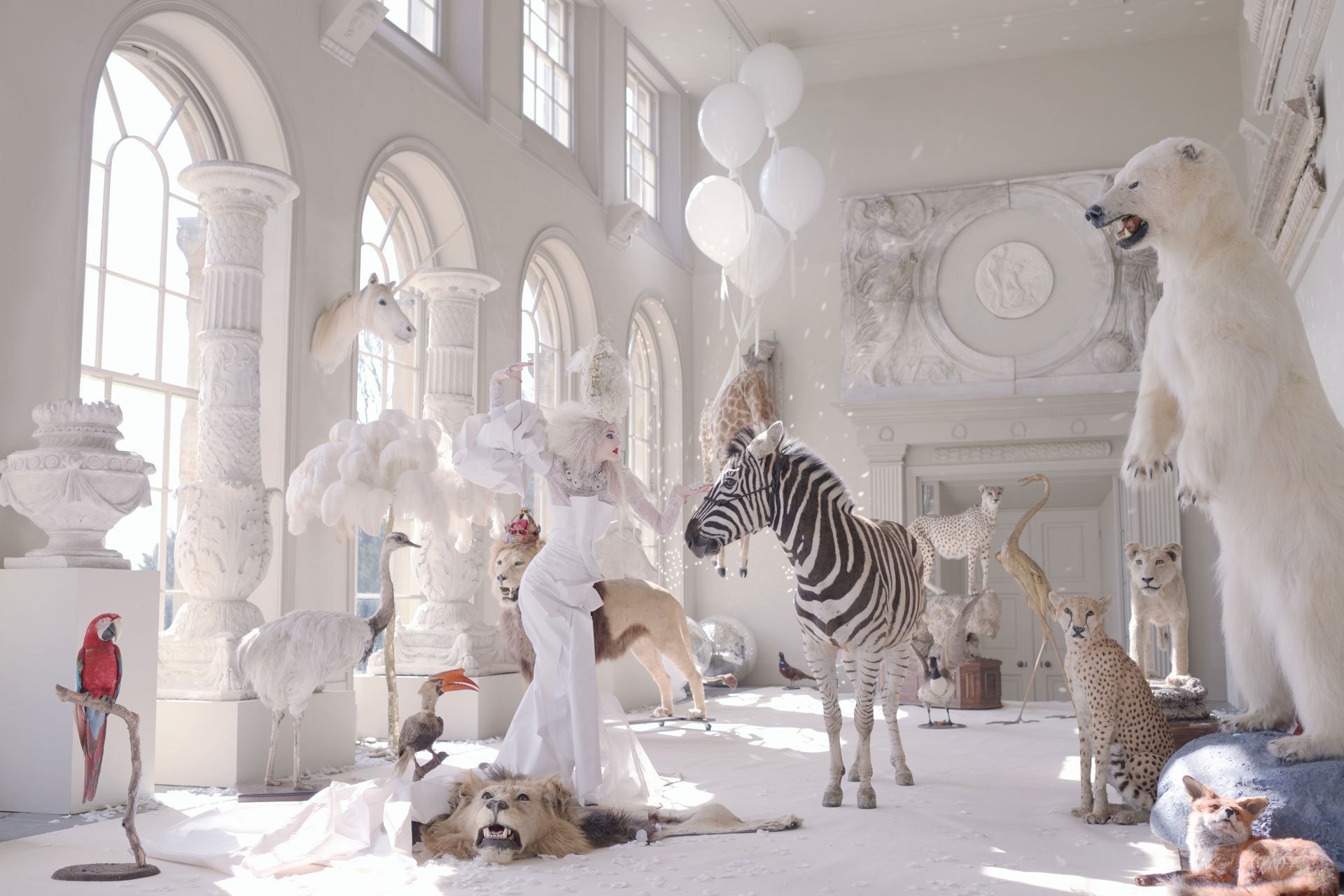 Bild: Photopress/Miss Aniela