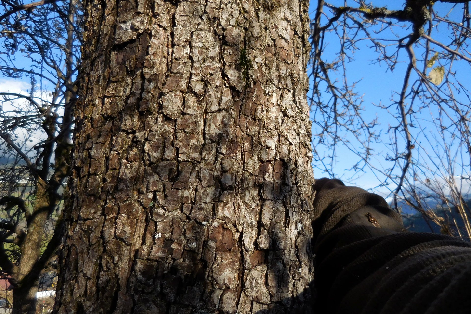 Am Anfang war das Selfie, ...