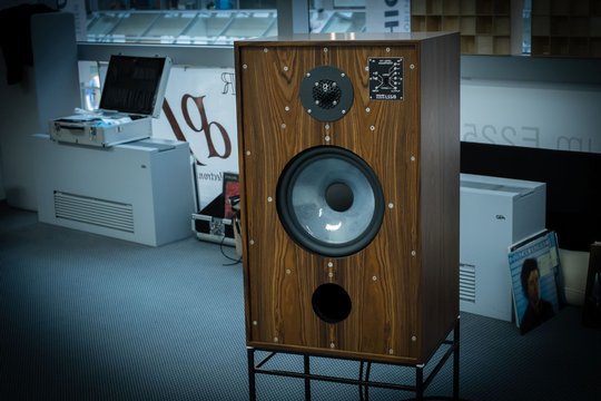 EAR/Yoshino führte mit dem klassischen Monitor von Graham Audio vor. Das ist britische HiFi-Klassik. Auf Design wird konsequent keinen Wert gelegt.