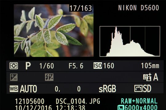 Nikon D5600, Einzelbildwiedergabe mit Histogramm- und Aufnahmedaten-Anzeige.