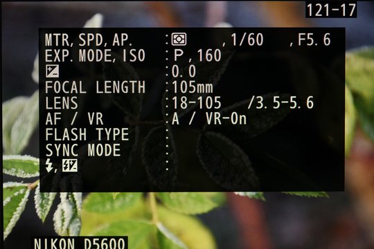 Nikon D5600, Einzelbildwiedergabe mit ausführlichen Aufnahmedaten, Teil 1.