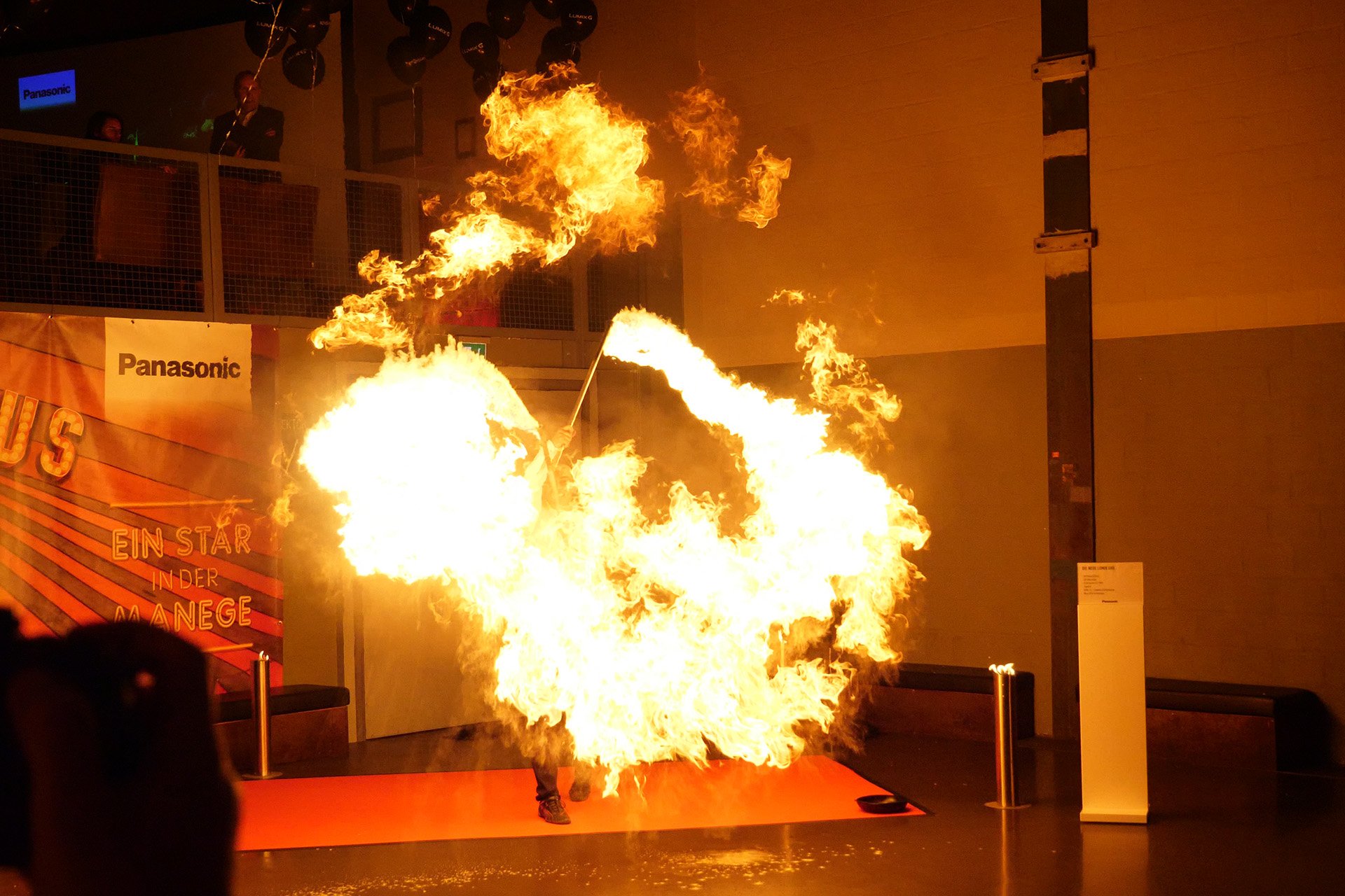 Einzelbild aus einer 6K-Pre-Burst Serienbild-Datei der Panasonic Lumix DC-GH5 mit 4992 x 3744 Pixel. Bild 30.