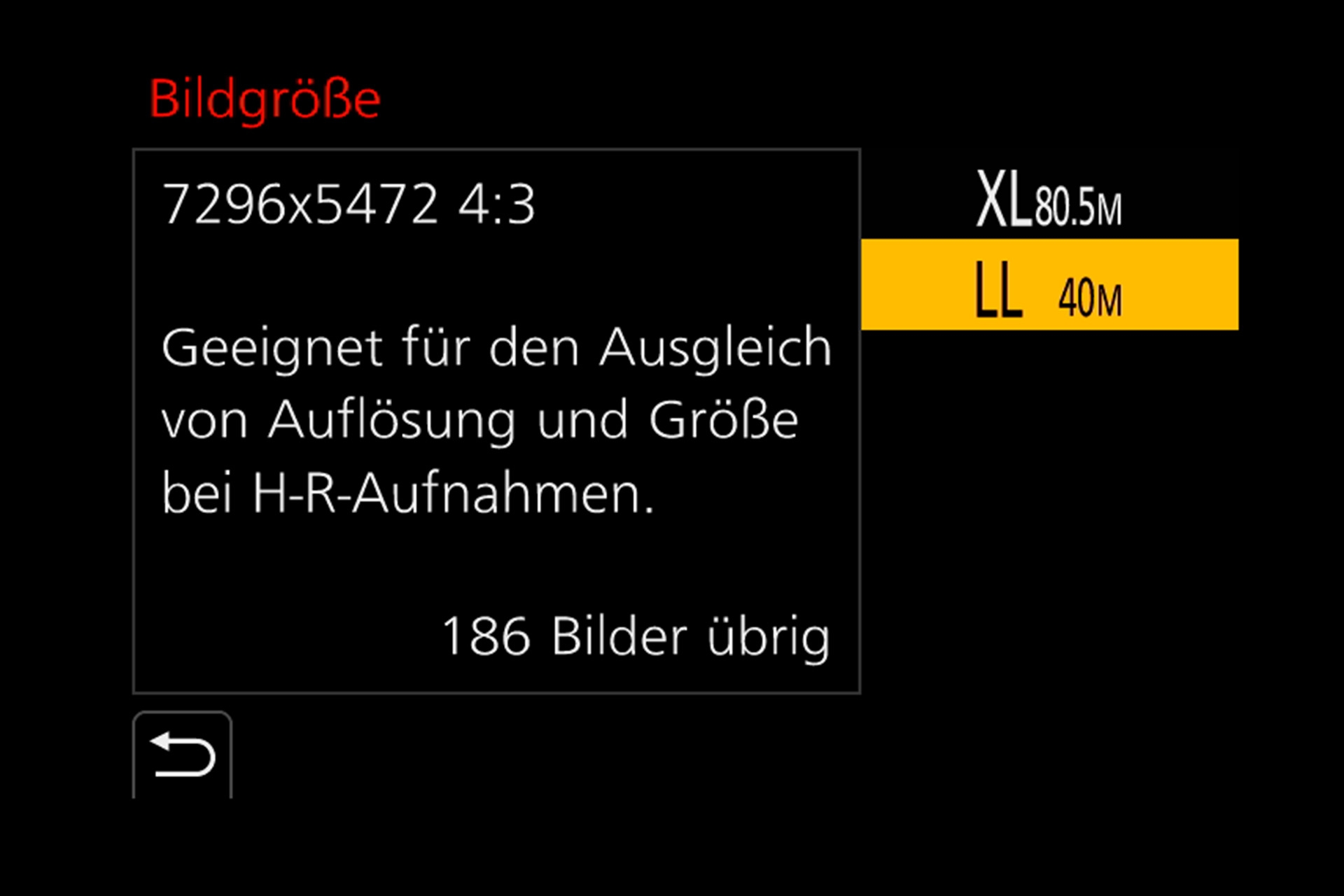 Panasonic Lumix G9: High-Resolution Bilder sind in zwei Grössen möglich.