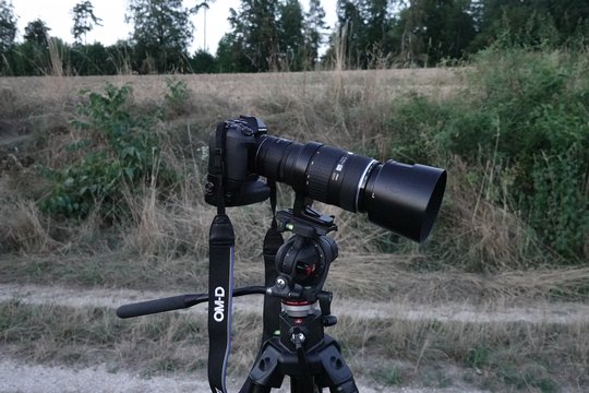 High-ISO, Fotokamera. Brennweite 35 mm, f/3.5, 1/40 Sek., ISO 5000.