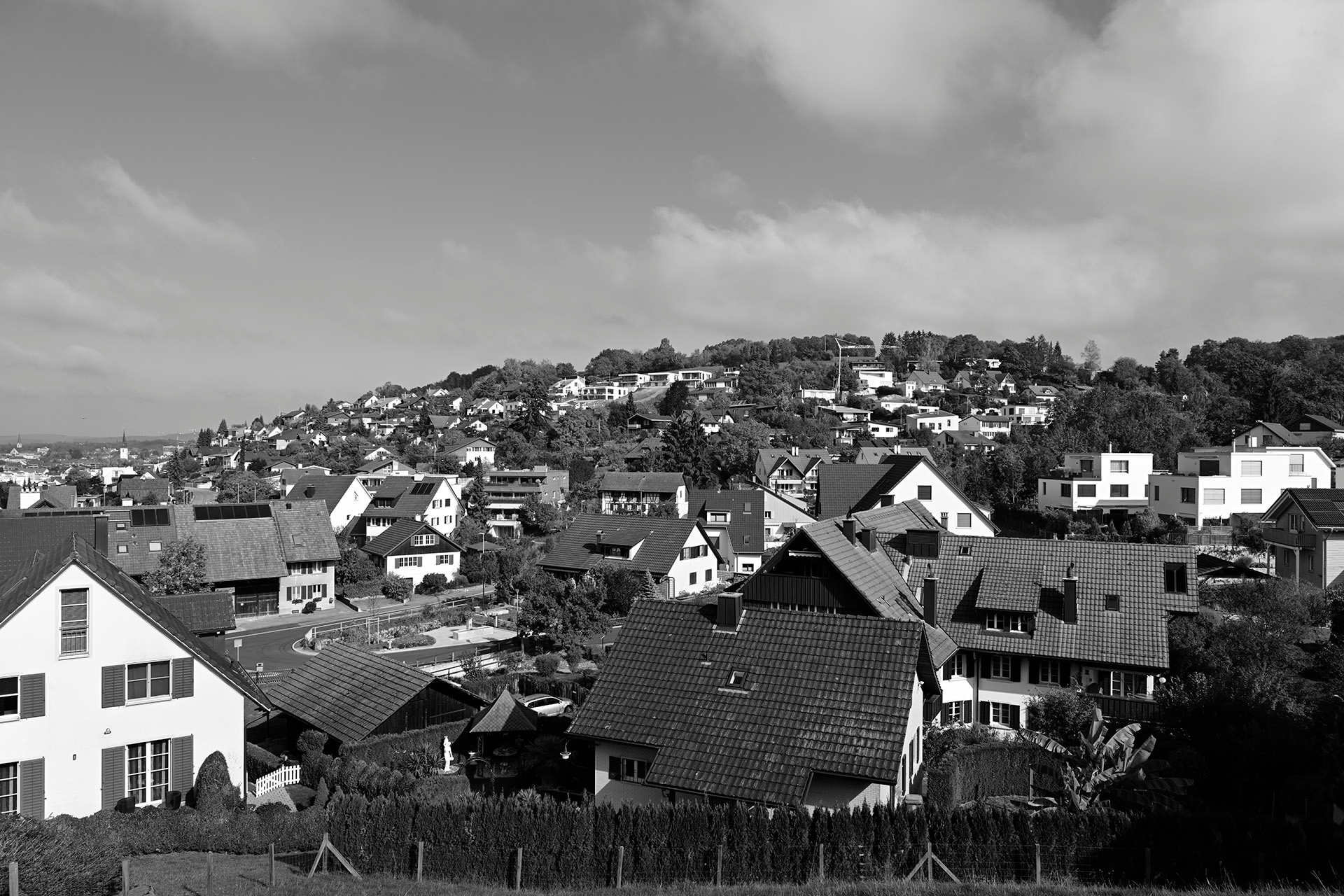 Nikon Z 7 Bildprofil (Picture Control) «Monochrom».
