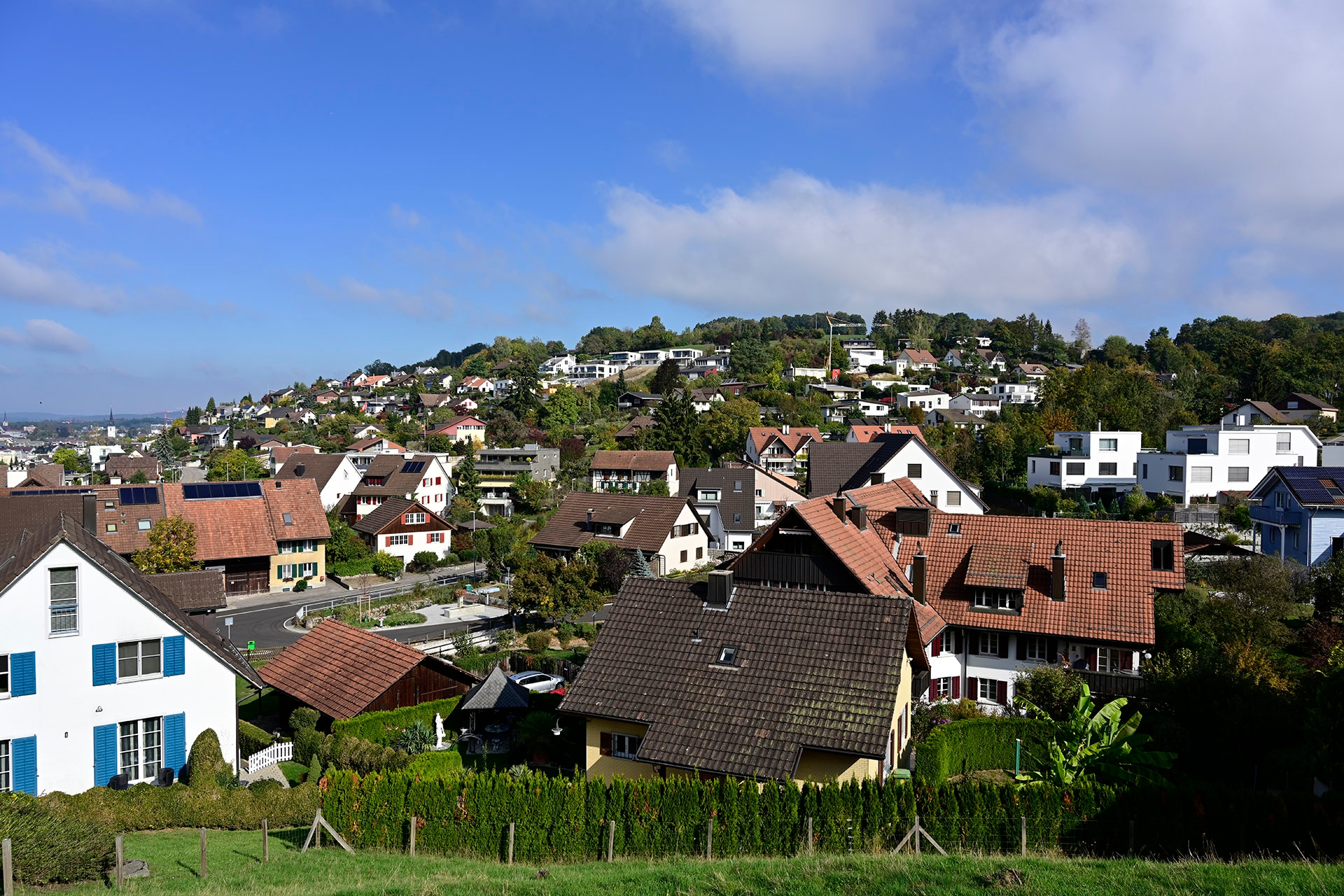 Nikon Z 7 Bildprofil (Picture Control) «Landschaft».