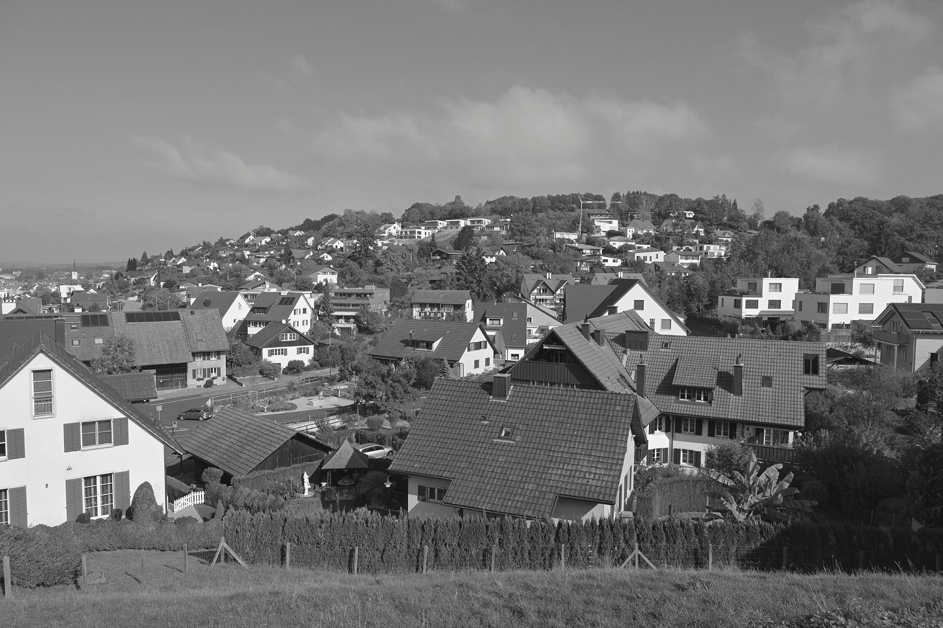 Nikon Z 7 Bildprofil (Picture Control) «Holzkohle».