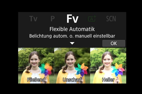 Wahlrad-Symbol Fv, Flexible Automatik.