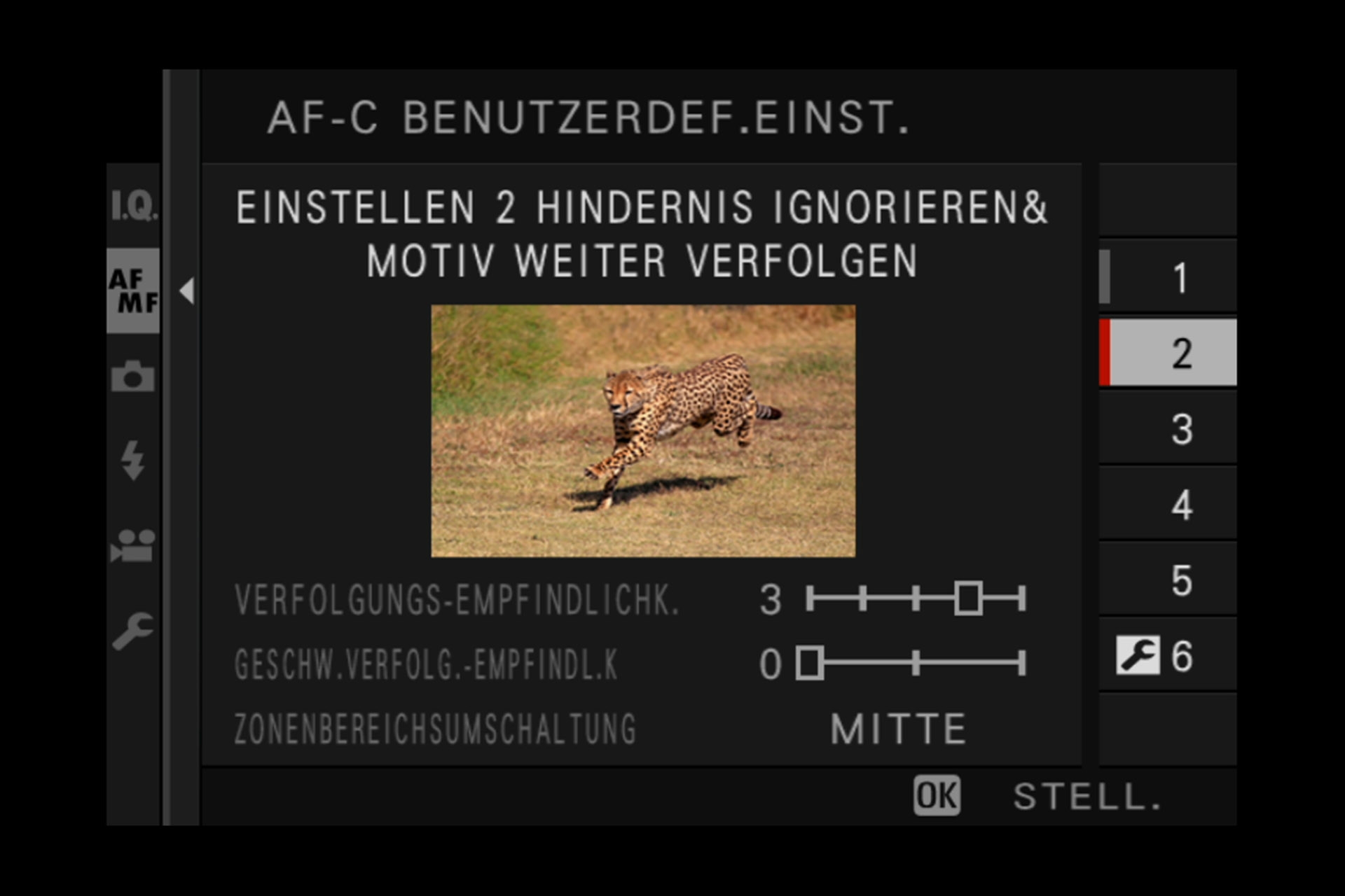 Einstellung 2: Verfolgung eines bestimmten Objektes, z.B. Tiere oder Zug (plötzlich auftretende Hindernisse werden ignoriert, Hauptobjekt bleibt im Fokus).