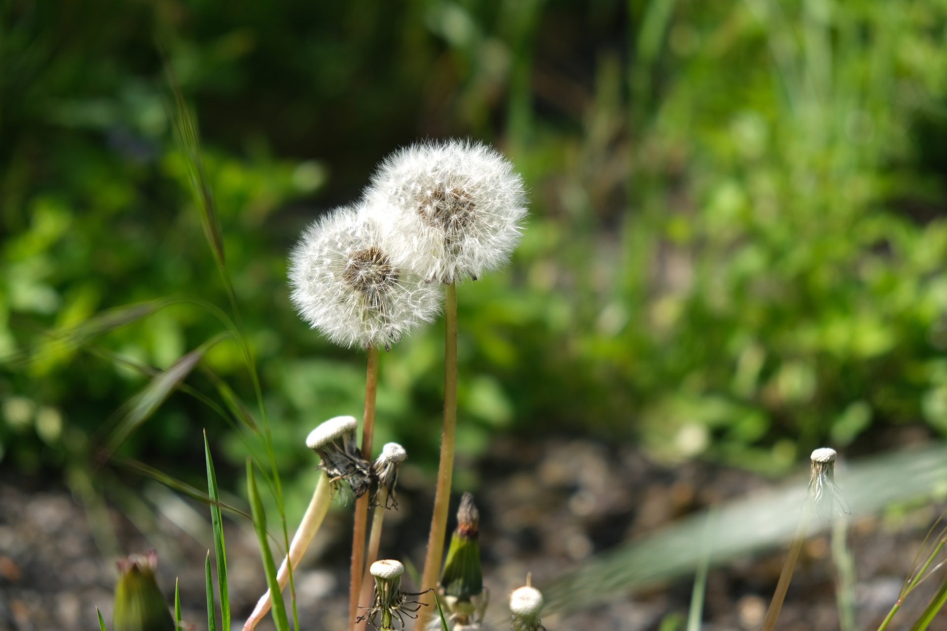 XF 18-55mm, Brennweite 83 mm (KB), 1/420 sec., f/4.0, ISO 100.