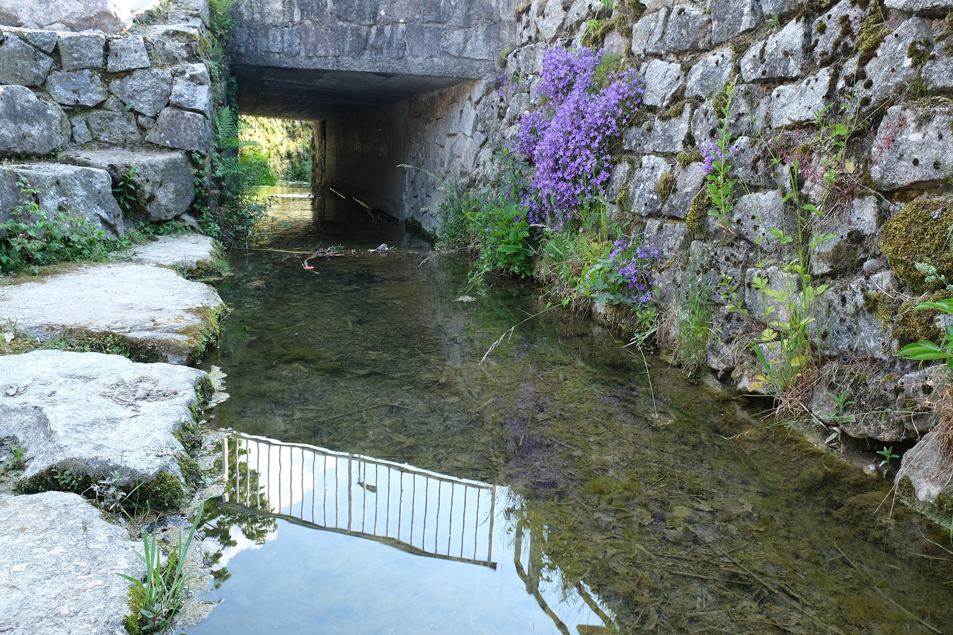 XF 18-55mm, Brennweite 27 mm (KB), 1/25 sec., f/8.0, ISO 250.