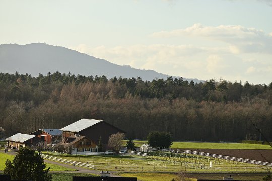 Picture-Control «Landschaft»