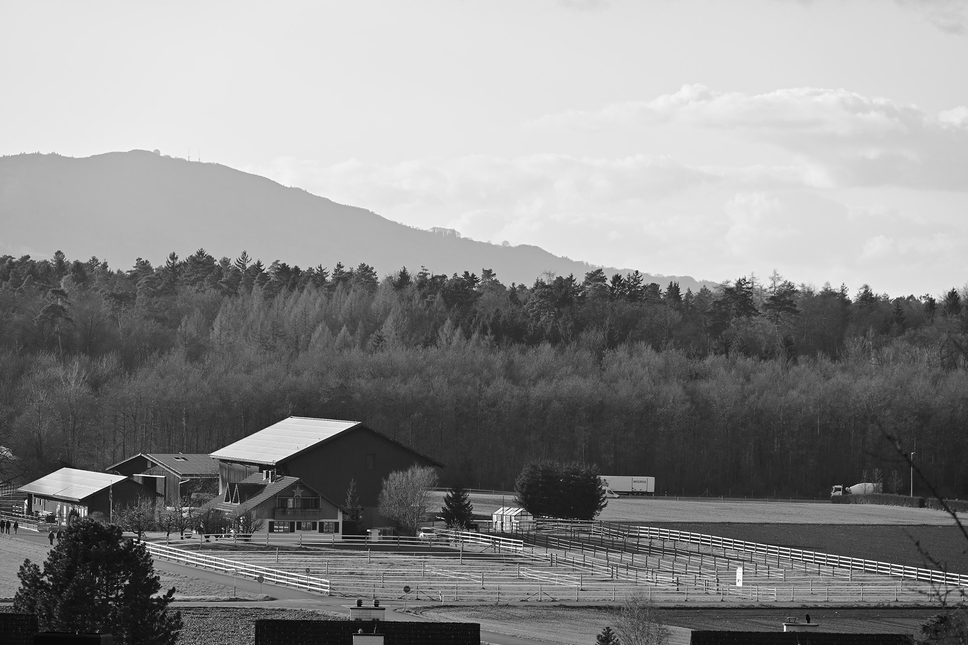 Picture-Control «Monochrom»