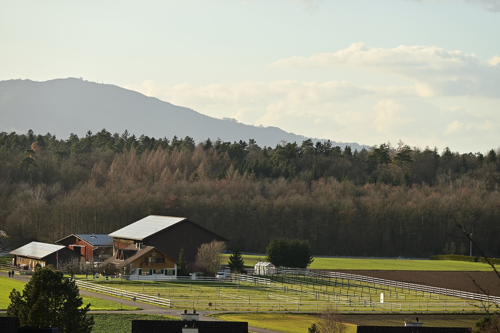 Picture-Control «Landschaft»