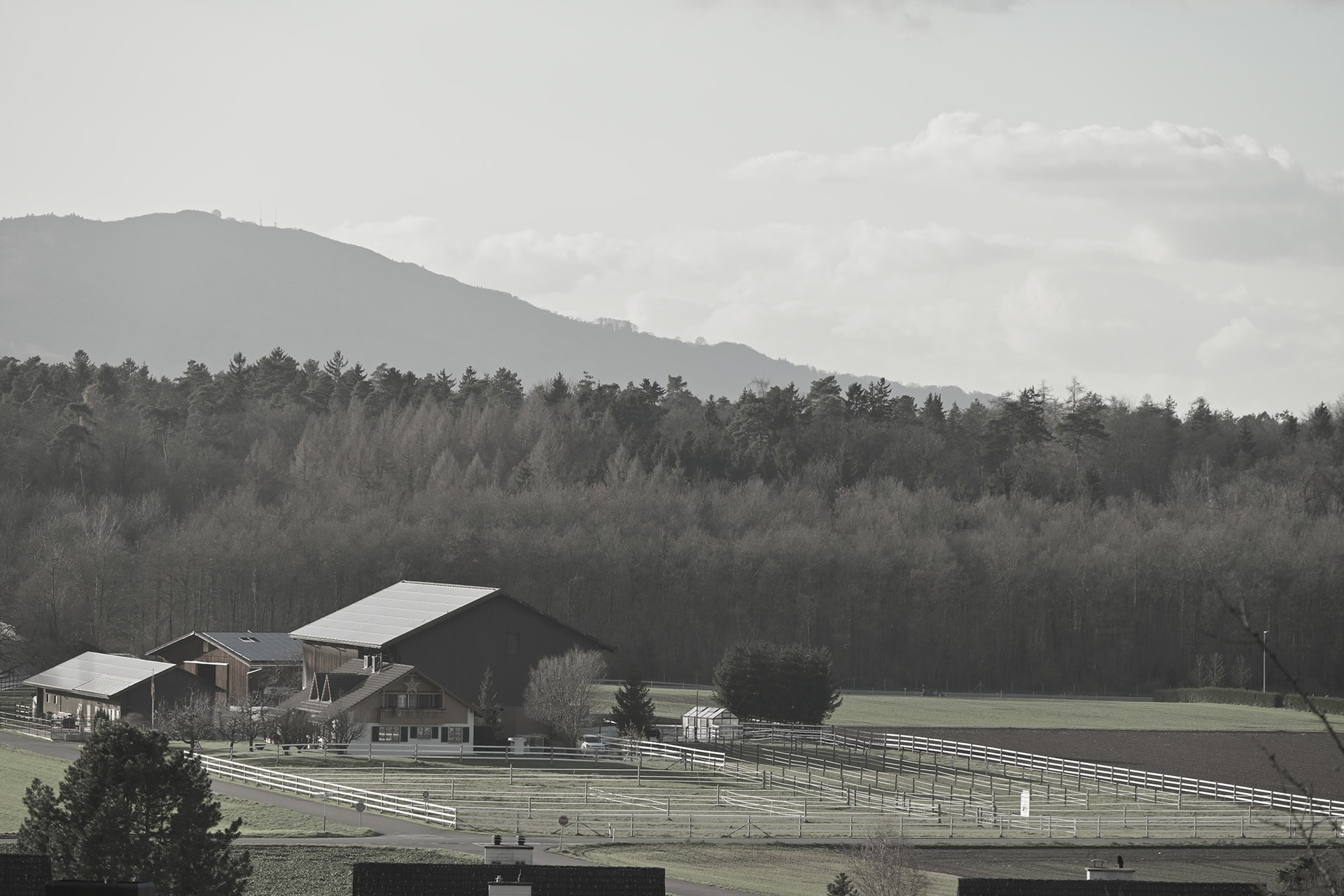 Picture-Control «Stille»
