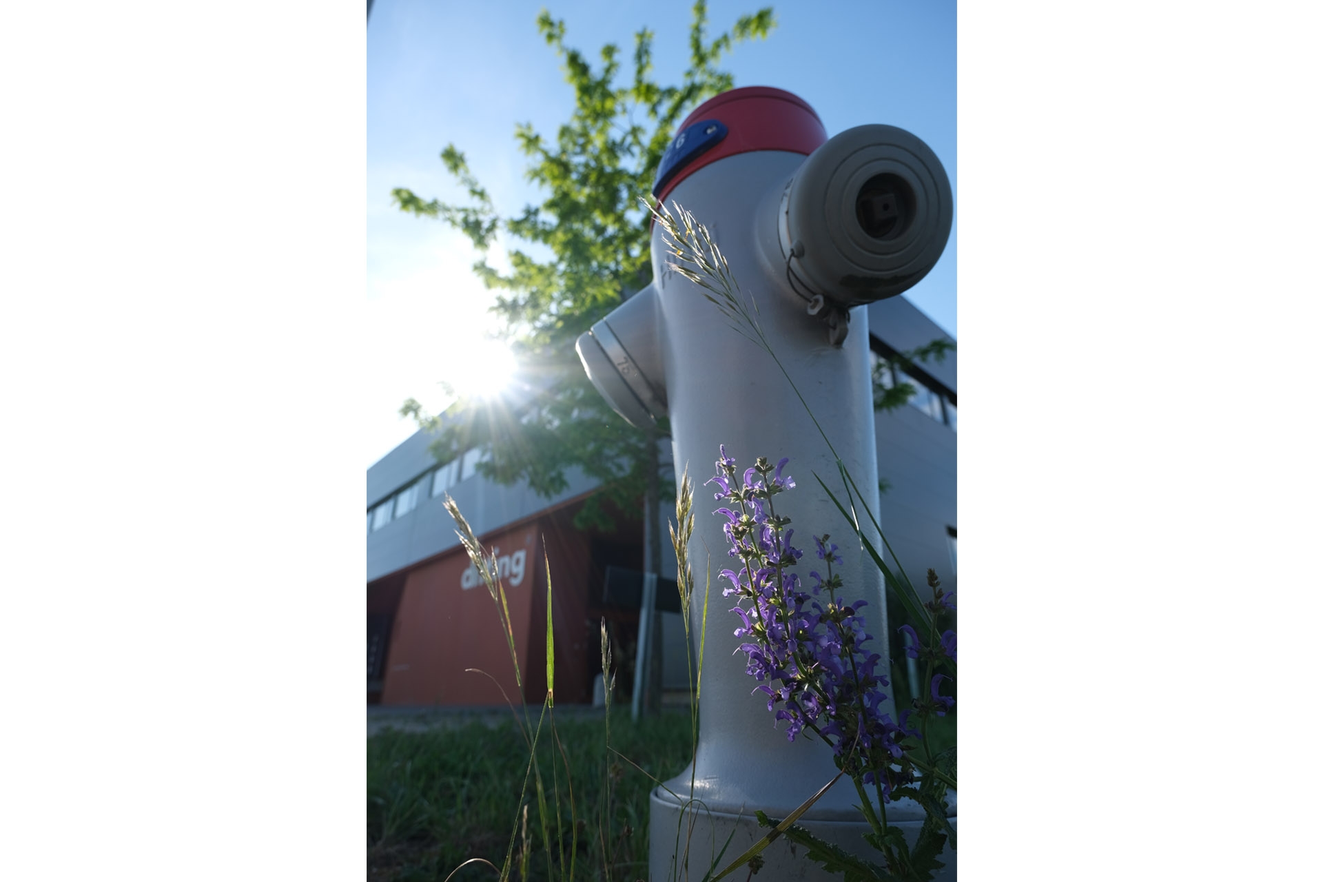 Brennweite 24 mm (KB), 1/450 sec., f/5.6, ISO 160, WB sonnig.