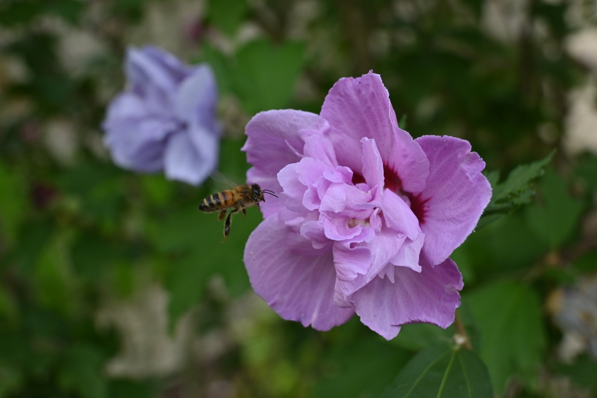 Z DX 16-50mm, Brennweite 43 mm, M, f/6.3, 1/500 sec., ISO 320, WB Wolken, Szenentyp Standard