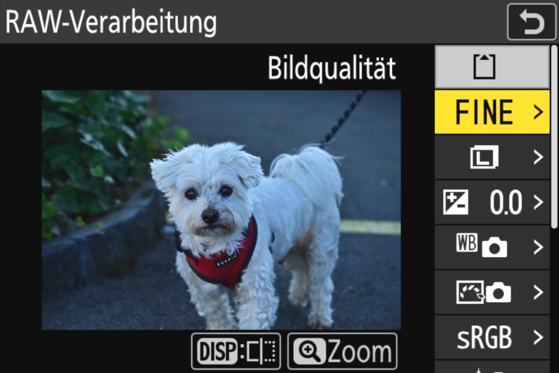 Nikon Z 8 RAW-Bearbeitung 1: Direkt in der Kamera lassen sich viele Bildparameter nachträglich anpassen.