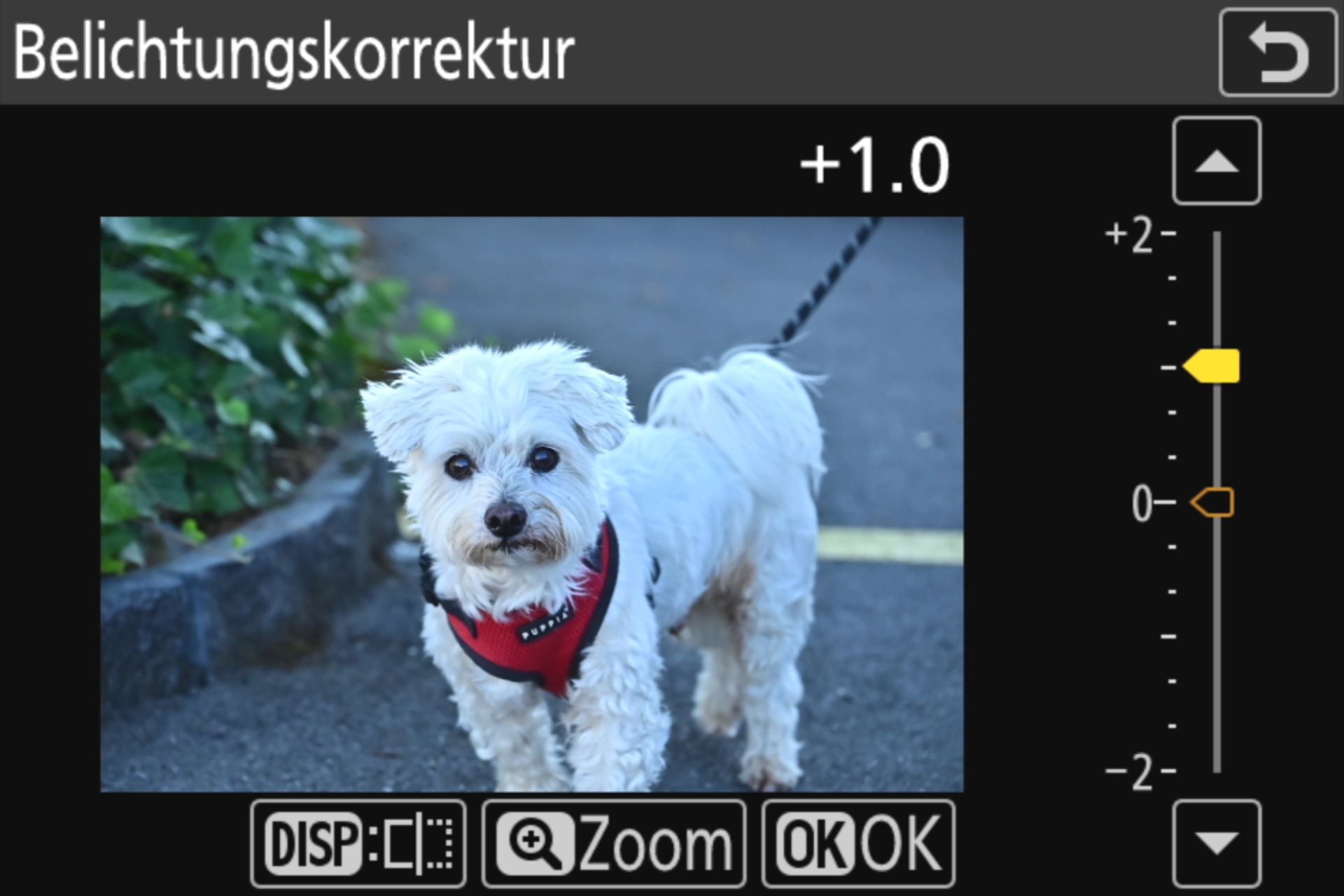 Nikon Z 8 RAW-Bearbeitung 2: Hier wurde der Belichtungswert angehoben.