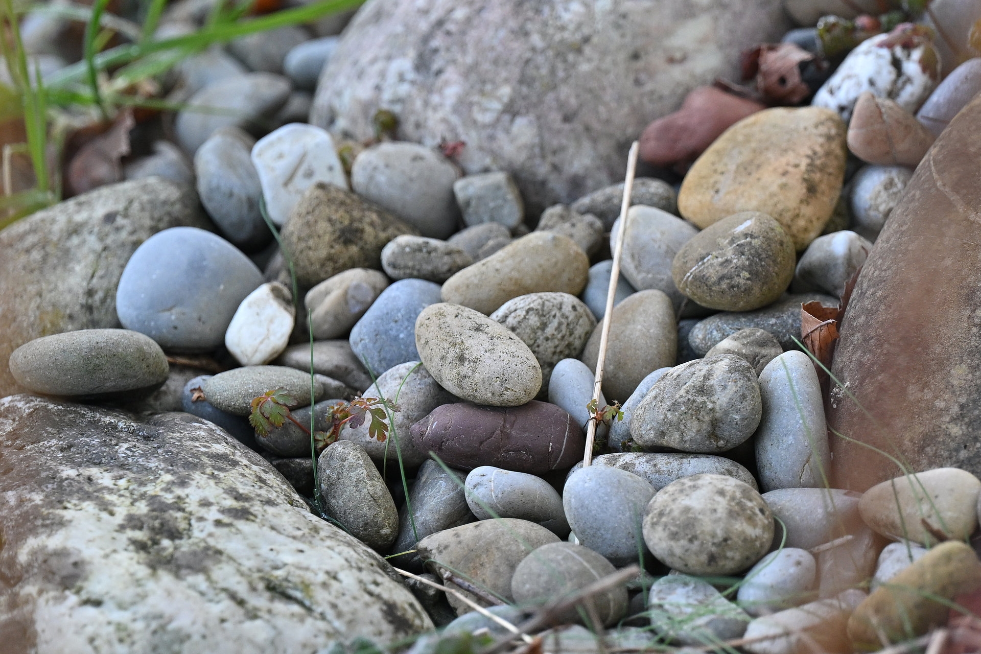 Nikon Z50II, Nikkor Z 70-200mm f/2.8 VR S, Brennweite 262 mm, M, f/3.5, 1/400 sec., ISO 720, WB Auto, PP Standard.