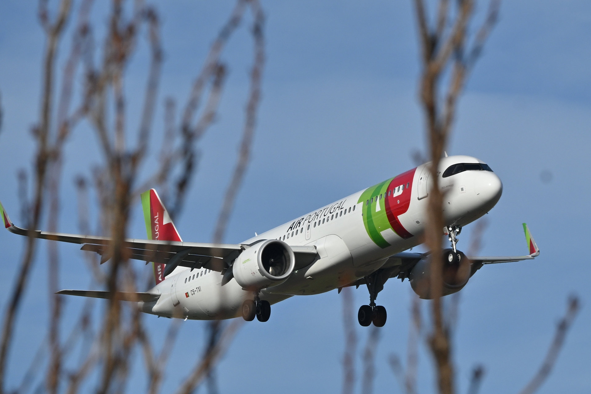 Nikon Z50II, Nikkor Z DX 50-250mm f/4.5-6.3 VR, Brennweite 217 mm, M, f/9, 1/800 sec., ISO 110, WB Sonne, PP Standard. Flugzeug-Erkennung durch Blätter und Äste hindurch.