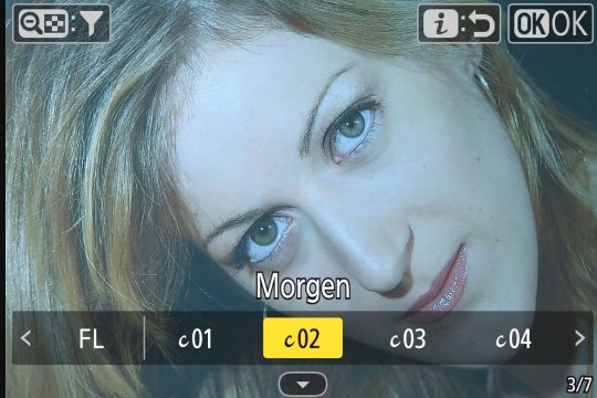 Nikon Z50II «Creative Picture-Control»-Konfiguration: Morgen.