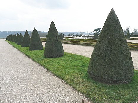 TZ3, Motiv Garten, 28 mm Weitwinkel