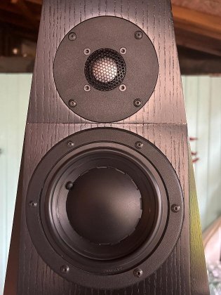 seltene Totem Wind zu verkaufen