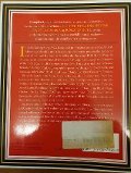 The Rolling Stone Encyclopedia of Rock & Roll (wie neu)