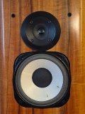 Horning Eufrodite Ellipse PM65