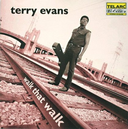 Terry Evans: Walk that walk (CD, neuwertig)