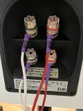 ELAC BS 203 anniversary edition