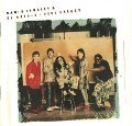 David Lindley & El Rayo X: Very Greasy (CD in Topzustand)