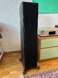 Paradigm Founder 100F in "Schwarz Walnuss" &ndash; 1,5-j&auml;hrig