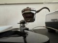 Rega RP10 Plattenspieler