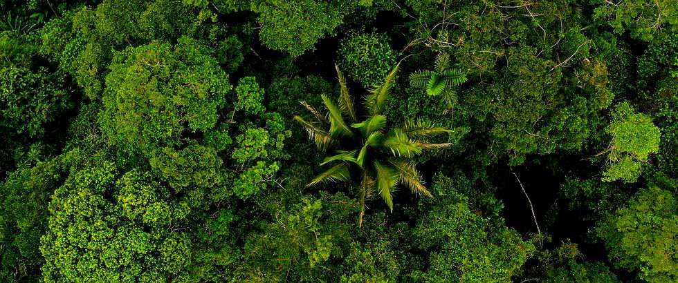 Ein Versuch, einiges zu klären (Teil 2)