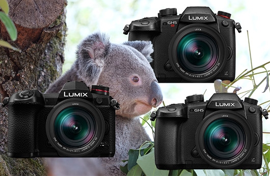 Panasonic-Workshops mit Lumix-G-Spitzentrio