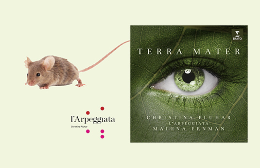 Pendeln zwischen Barock und Jazz