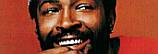 The Marvin Gaye Collection