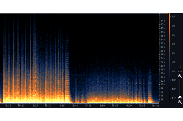 Symphonie Nr. 94, 2. Satz, Ausschnitt: Natürliches Frequenzspektrum (24/96) bis in einen Bereich von 45 kHz, dies bei allerdings extrem leisen Pegeln, die selbst mit dem 96-dB-Dynamikumfang der CD nicht mehr erfasst werden können.