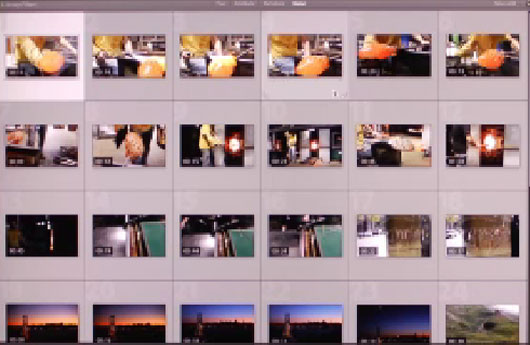 Lightroom 4.4 und Camera Raw 7.4