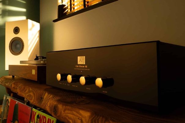 Audio Note Oto SE 35. Jubiläumsmodell des Single-Ended-Klassikers.