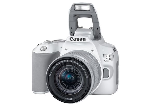 Die neue EOS 250D ist laut Canon die weltweit leichteste DSLR-Kamera mit dreh- und schwenkbarem Display auf dem Markt.