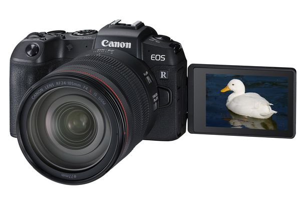 Kleine Schwester: Die spiegellose Vollformatkamera Canon EOS RP ist eine einfachere und preiswertere Variante der EOS R.