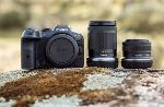 Test: APS-C-Systemkamera Canon EOS R7 - Wolf im Schafspelz