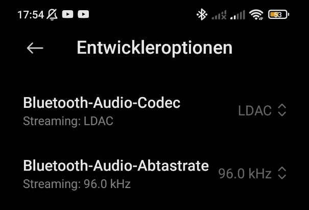 LDAC muss bei Android-Smartphones vor der Nutzung in den Entwicklungsoptionen freigeschaltet werden.