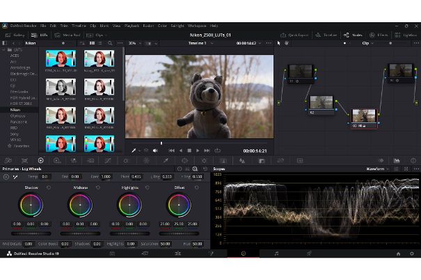 N-Log Aufnahme der Nikon Z50II in DaVinci Resolve mit 3D LUT: Nun «gegraded» und kräftiger in Farbe und Kontrast. Der Waveform-Monitor verdeutlicht den Unterschied.