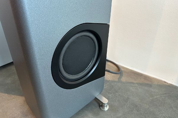 Einer der beiden parallel auf jeder Seite angebrachten 20-cm-Tieftöner.